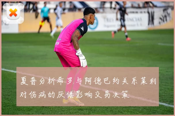 夏普分析希罗与阿德巴约关系莱利对伤病的厌倦影响交易决策
